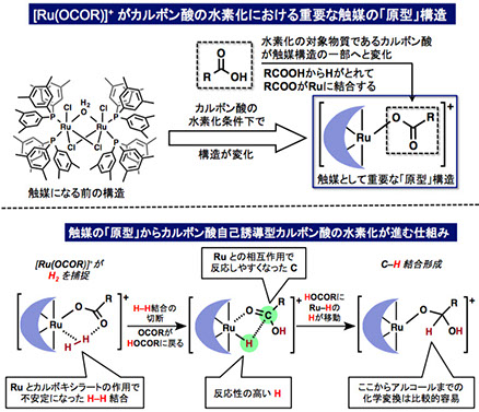 Saito Group at the Noyori Laboratory | Dr. Susumu Saito